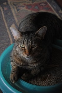 DSC_0304