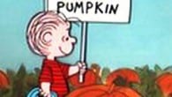 If pumpkin is a seasonal thing, and you have had Halloween candy out for 3 weeks, what the heck are you waiting for? I was told pumpkin is a seasonal...
