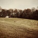 fair_hill