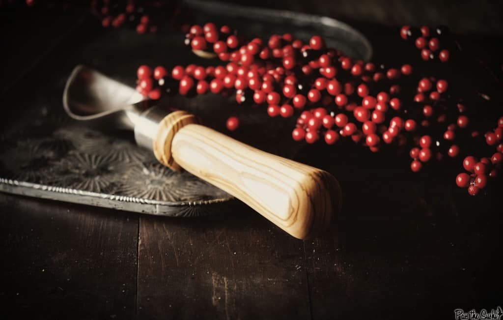 ice cream scoop_0136