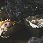 Roasted Blueberry Graham Cracker Crumble Frozen Yogurt | Passthesushi.com