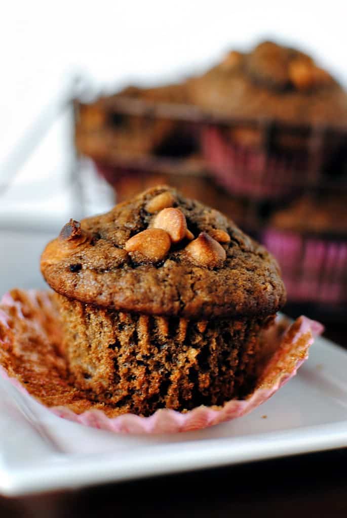 Chocolate Peanut Butter Chip Muffins Recipe \\ PassTheSushi.com