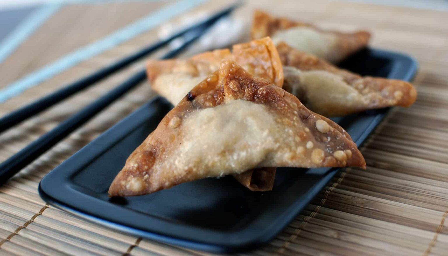 Deep Fried Pot Stickers Kita Roberts