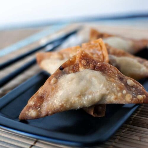 Deep Fried Pot Stickers Kita Roberts