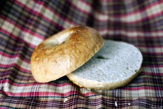 Homemade bakery fresh bagels are the perfect food to wake up to on a weekend morning. Crispy outside and tender inside, this recipe is bagel perfection. \\ PassTheSushi.com