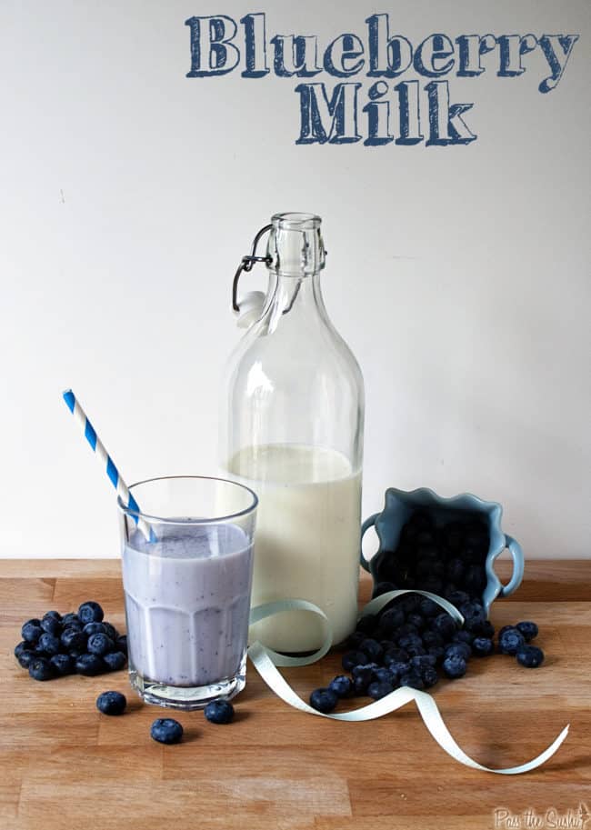 Homemade Blueberry Milk is a tasty cold treat for kids of all ages! \ PassTheSushi.com