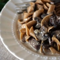 Bowl full of creamy egg noodles and beef stroganoff.