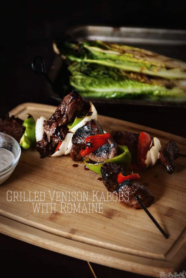 Grilled Venison Kabobs with Romaine Recipe Kita Roberts