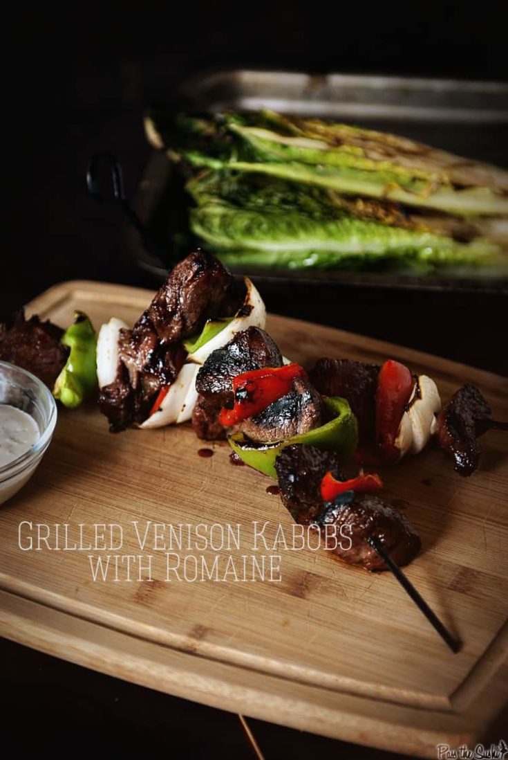 Grilled Venison Kabobs with Romaine Recipe Kita Roberts