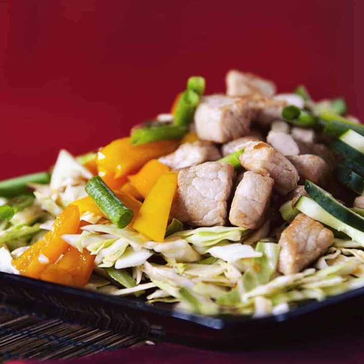 Asian Pork and Cabbage Salad | Kita Roberts PassTheSushi.com