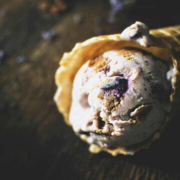 Roasted Blueberry Graham Cracker Crumble Frozen Yogurt | Kita Roberts PassTheSushi.com