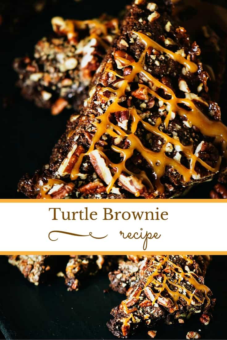 Turtle Brownie