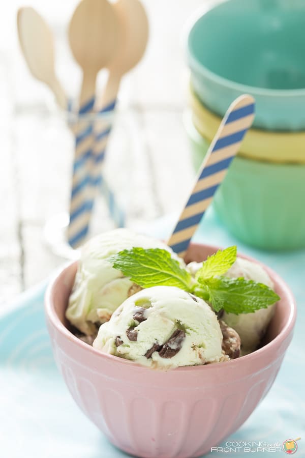 Fudgy Mint Chip Ice Cream