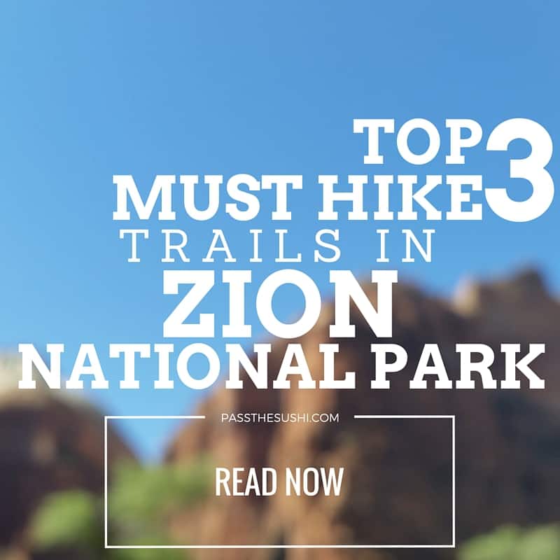 3 Must Hike Trails of Zion National Park | PasstheSushi.com