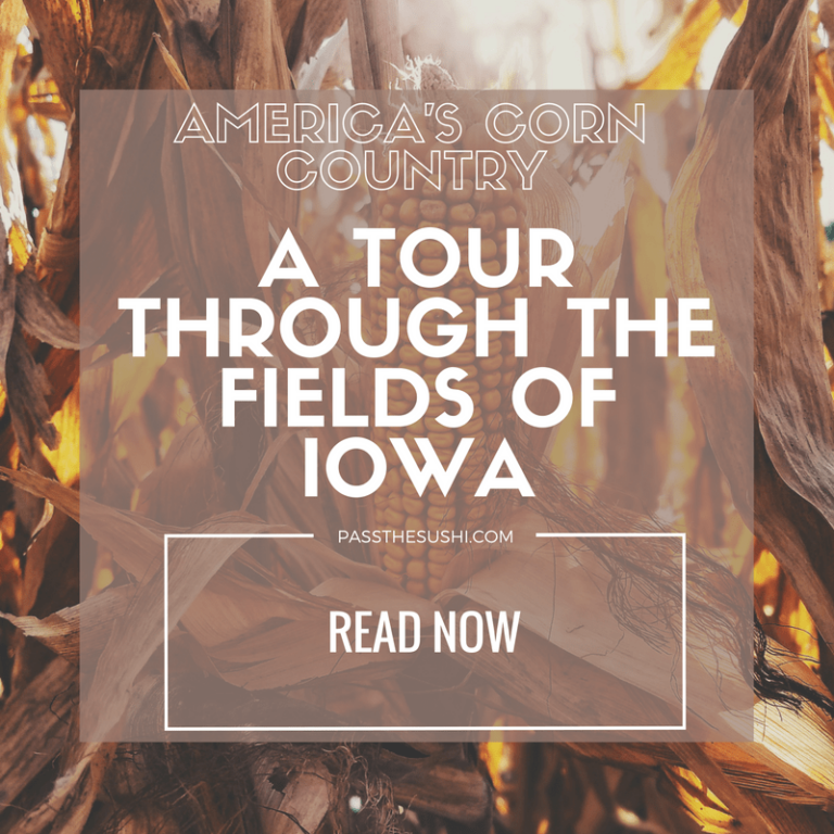 America's Corn Country, a tour through the fields of Iowa