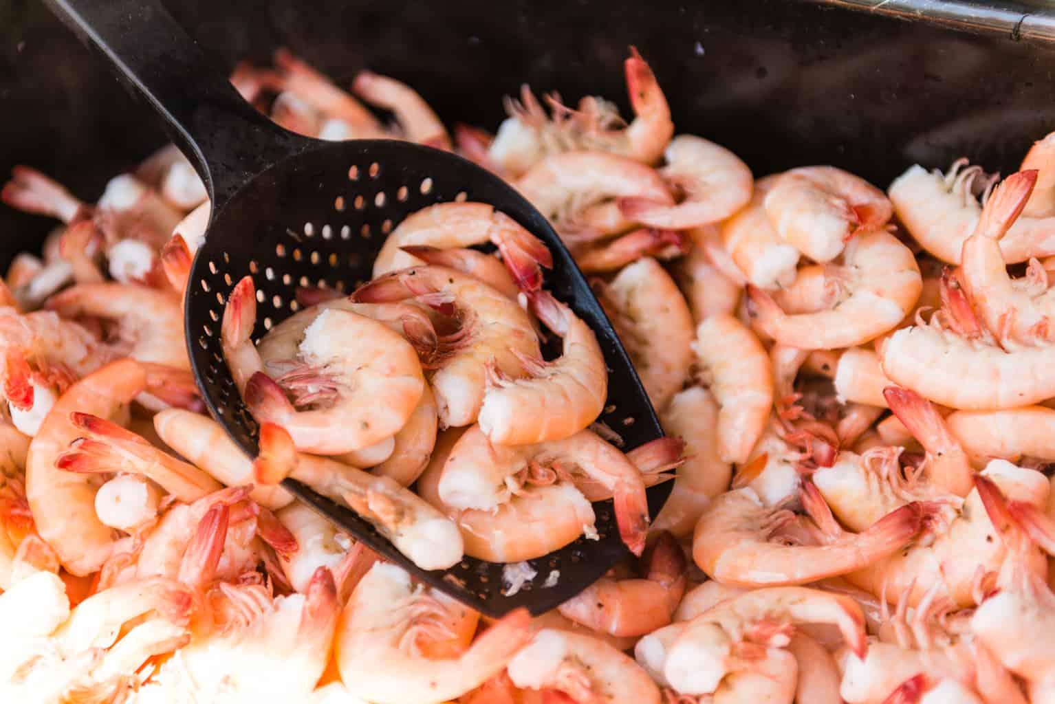 Fort Myers Beach Shrimp Festival Foodie Guide Kita Roberts