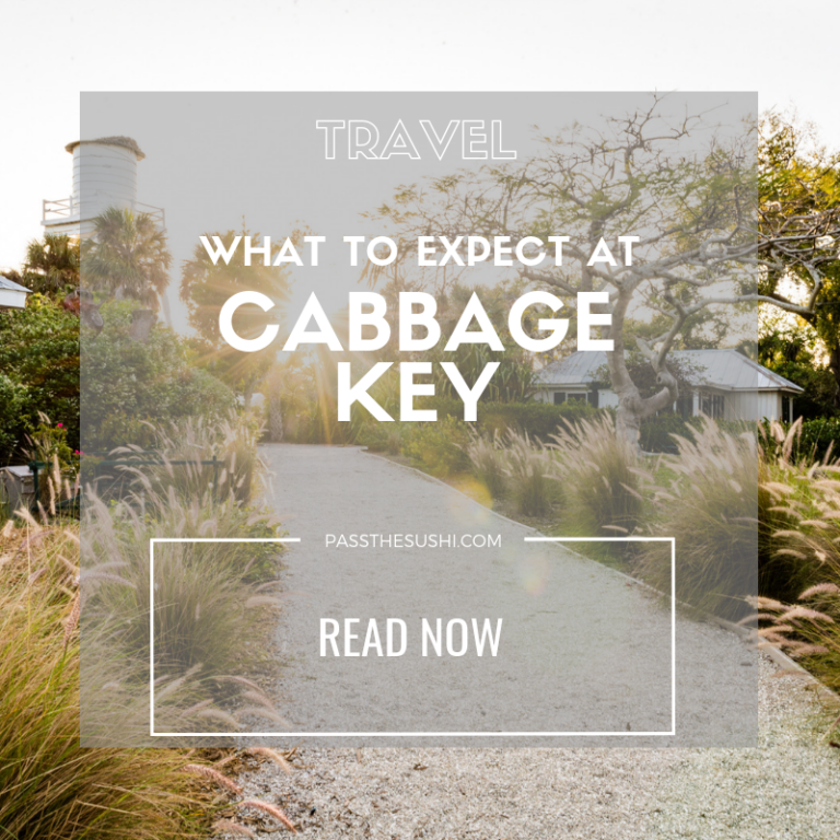 What to expect at Cabbage Key
