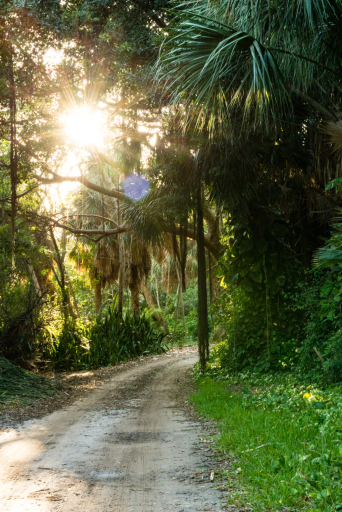 Sandy paths | What to expect while visiting Cabbage Key