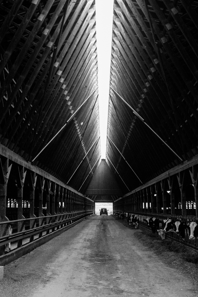 Big red barns of Flood Brothers Farm Maine Cabot Dairy Farm