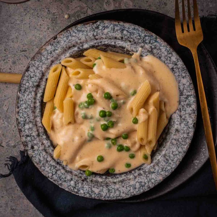 Bowl of pasta with creamy fontina cheese sauce.