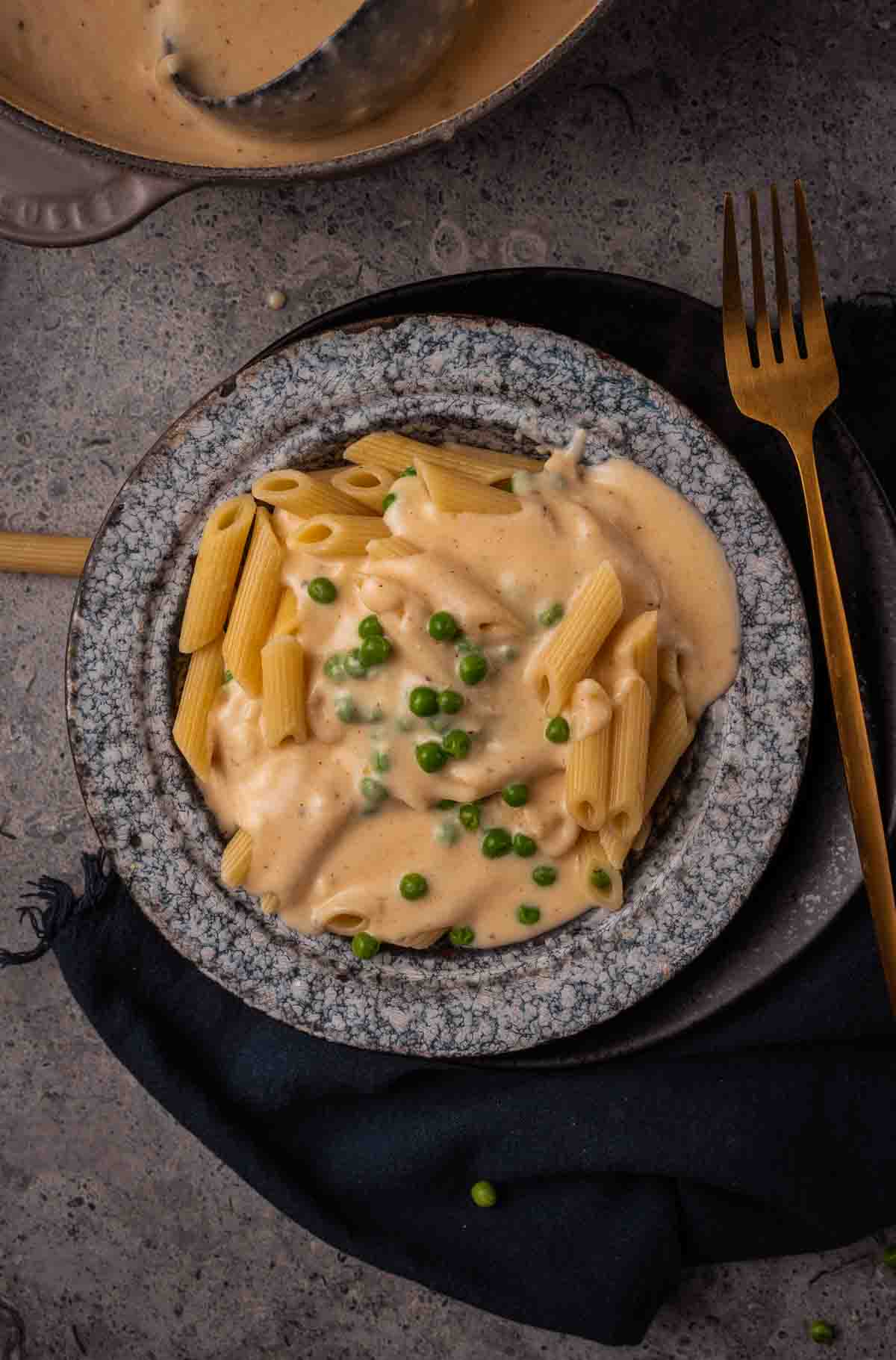 Bowl of pasta with creamy fontina cheese sauce.