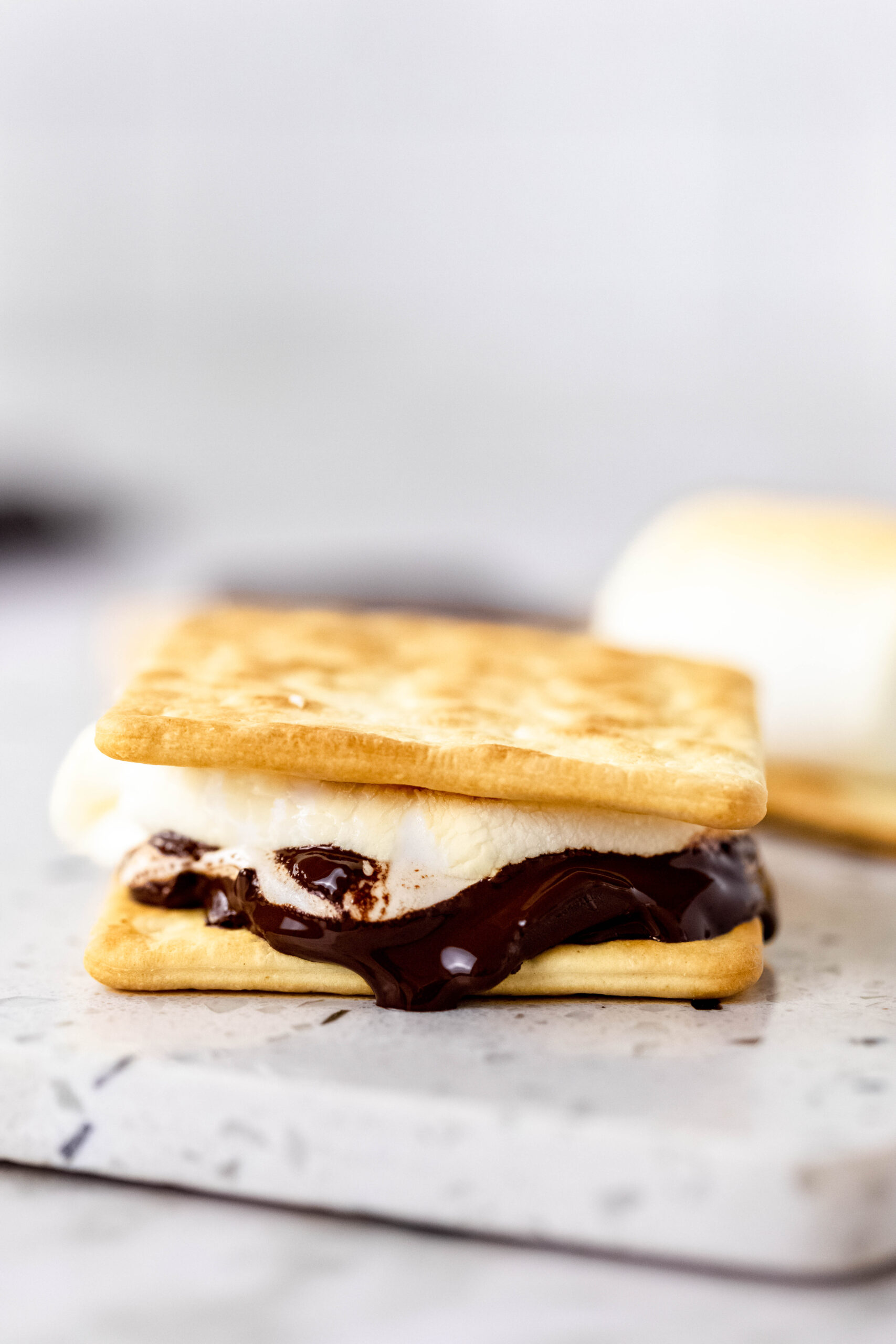 Close up of melty gooey s'more.