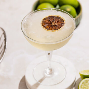 Simple gimlet cocktail garnished with dried lemon in a coupe glass.