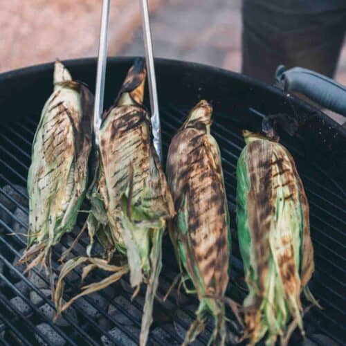 Corn in huskd with grill marks. 