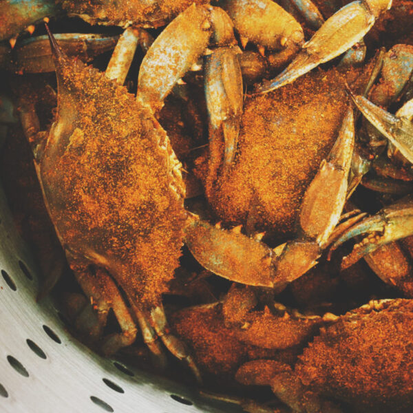 Blue Crabs in steamer. 